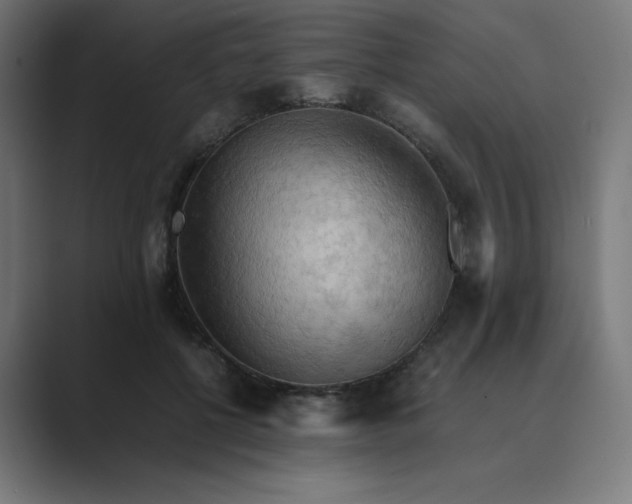 X0000089370552200706291249