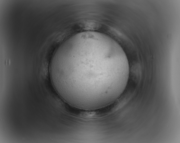 X0000089370554200706291249