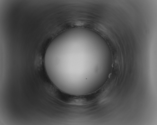 X0000089370555200706291249