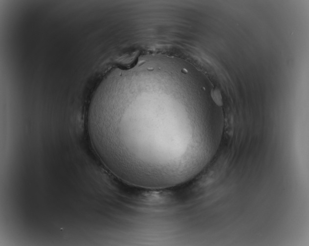 X0000089370558200706291249