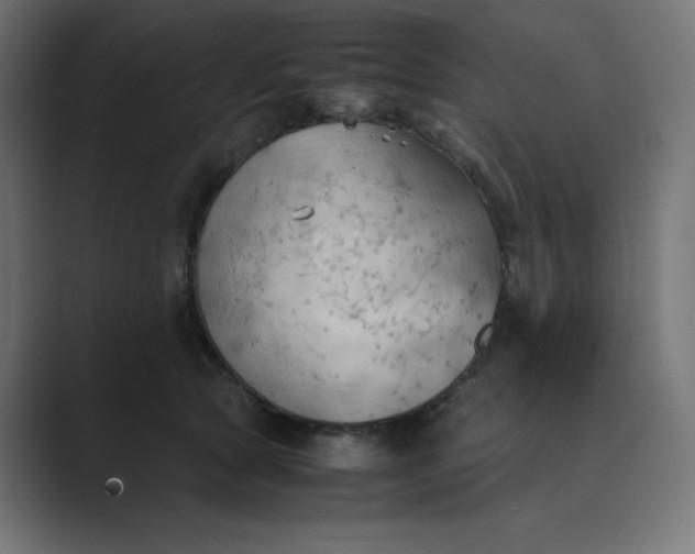 X0000089370561200706291249
