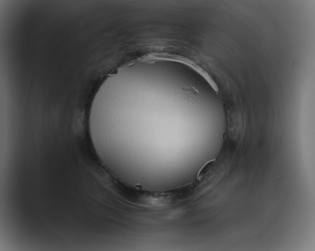 X0000089370563200706291249