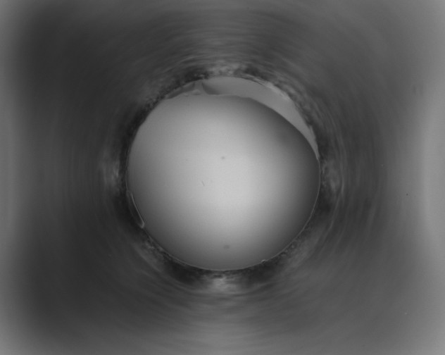 X0000089370564200706291249