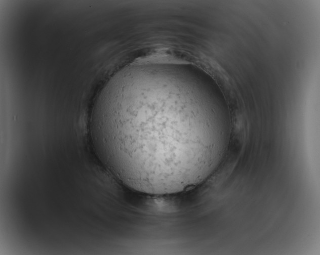 X0000089370565200706291249