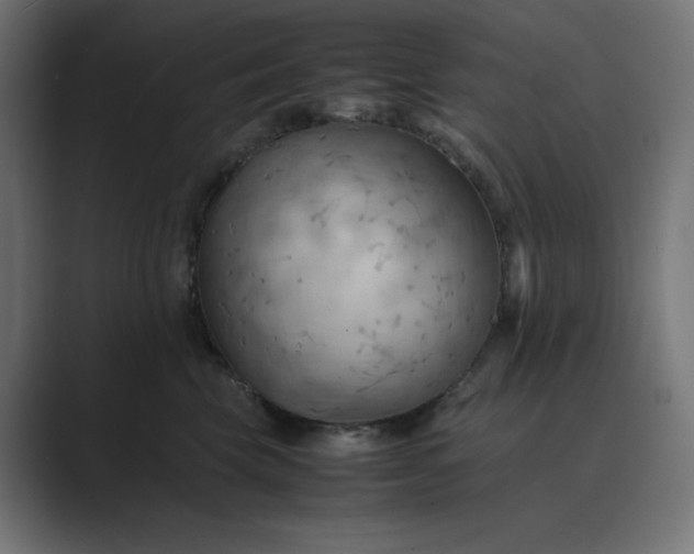 X0000089370569200706291249
