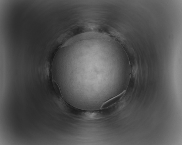 X0000089370570200706291249