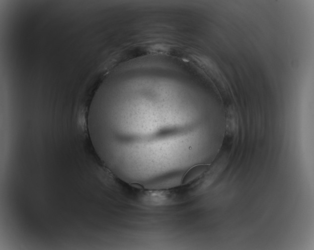 X0000089370573200706291249