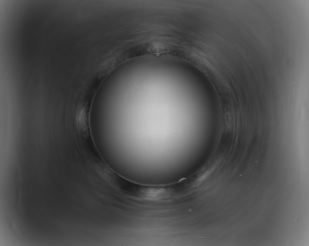 X0000089370575200706291249