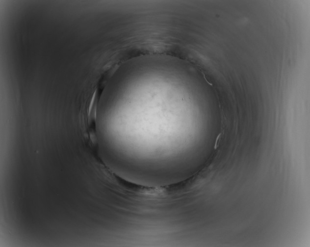 X0000089370576200706291249