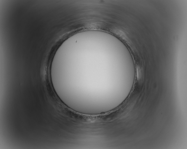 X0000089370579200706291249