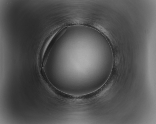 X0000089370581200706291249