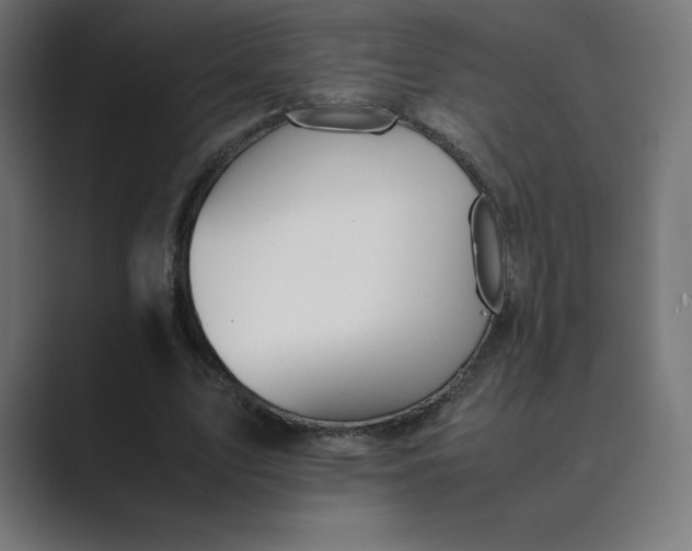 X0000089370583200706291249