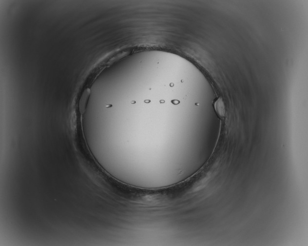 X0000089370584200706291249
