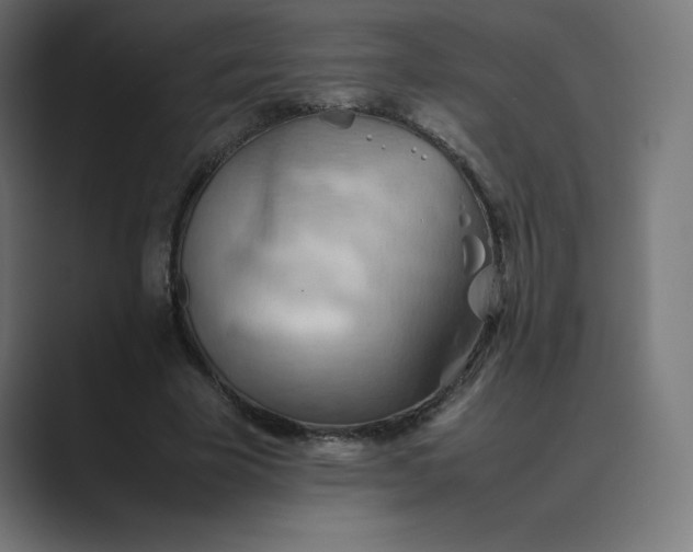 X0000089370585200706291249