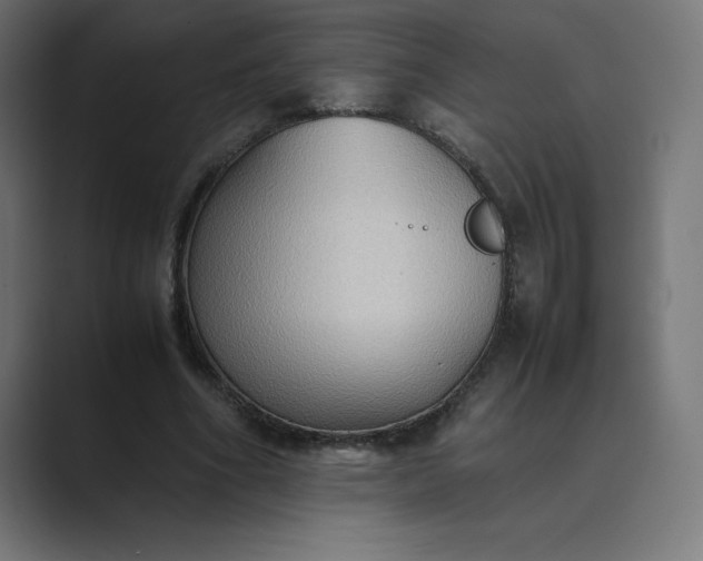 X0000089370586200706291249