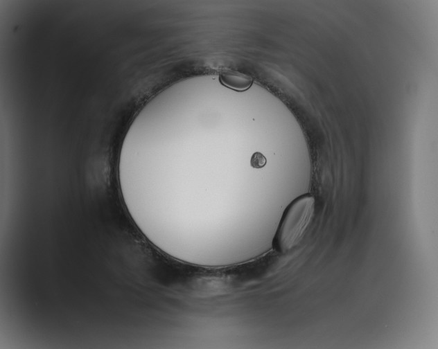 X0000089370595200706291248