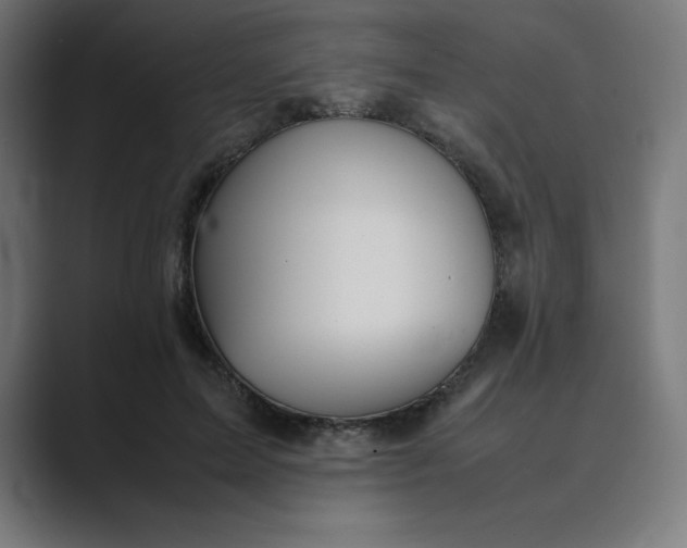 X0000089370599200706291248