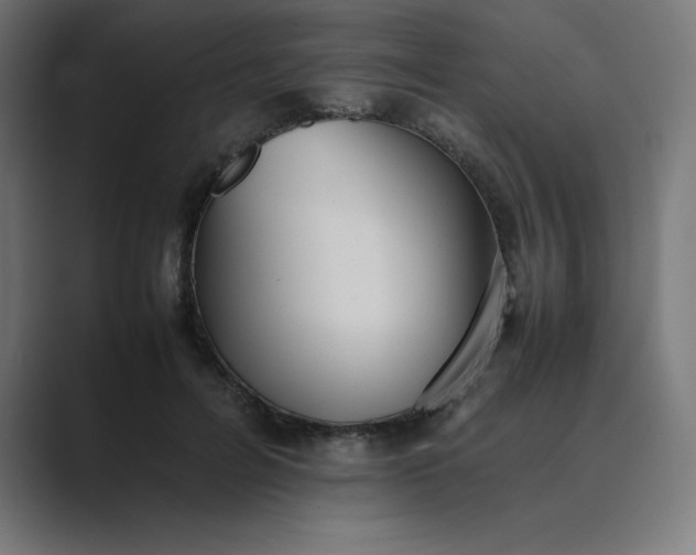 X0000089370600200706291248