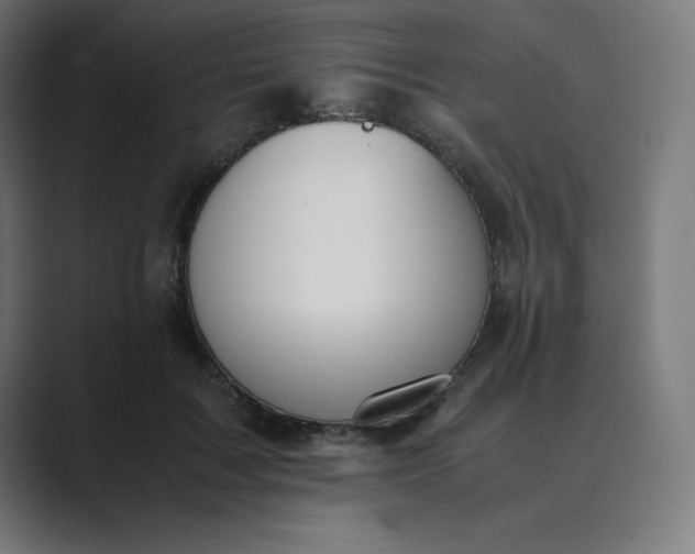X0000089370603200706291248
