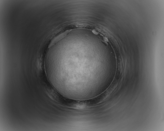 X0000089370604200706291248