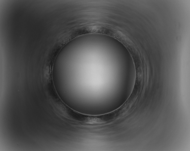 X0000089370605200706291248