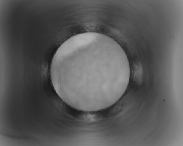 X0000089370610200706291248