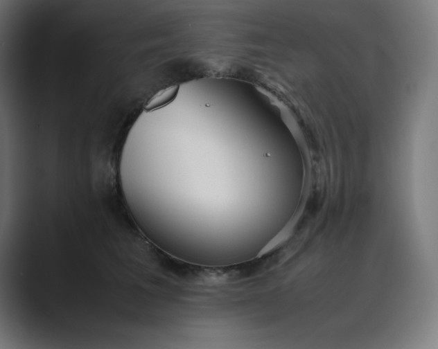 X0000089370613200706291248
