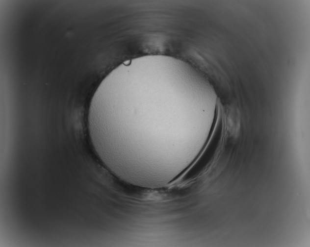 X0000089370616200706291248