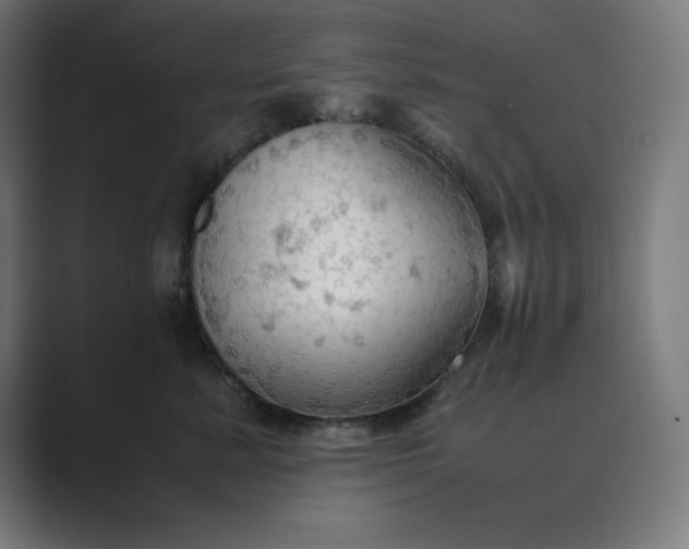 X0000089370619200706291248