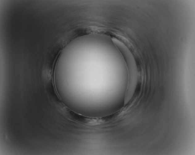 X0000089370621200706291248