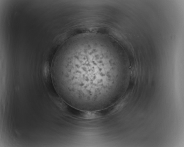 X0000089370623200706291248