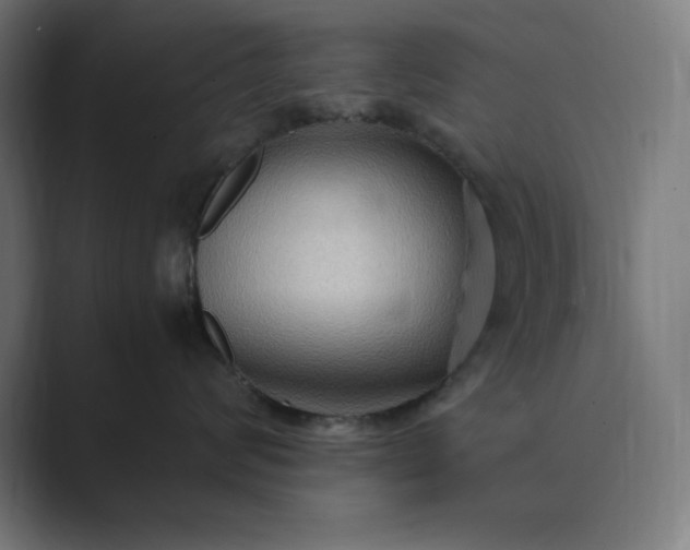 X0000089370624200706291248