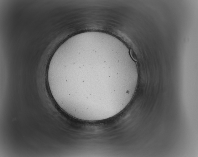 X0000089370625200706291248