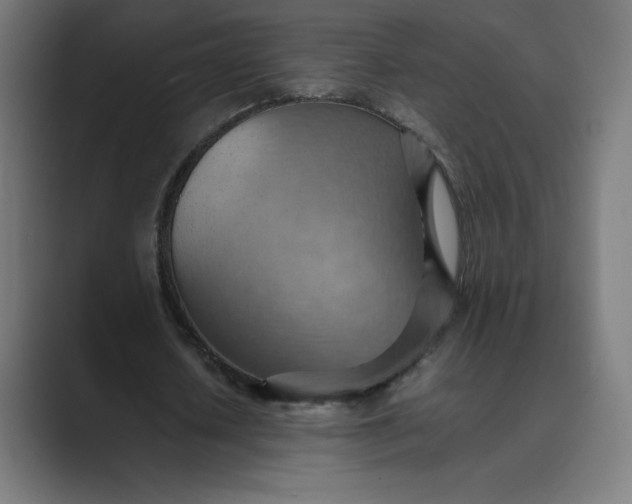 X0000089370626200706291248