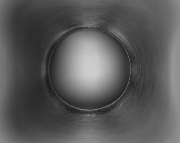 X0000089370628200706291248