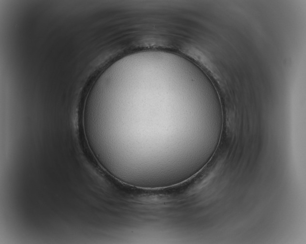 X0000089370629200706291248
