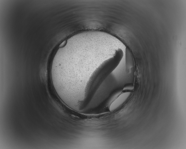 X0000089370630200706291248