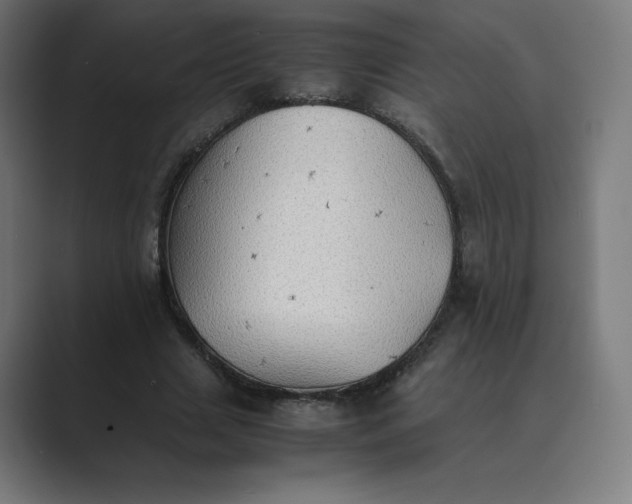 X0000089370633200706291248