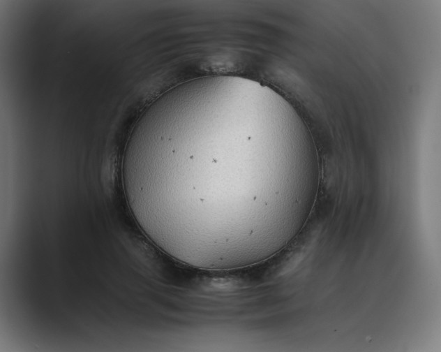 X0000089370645200706291248