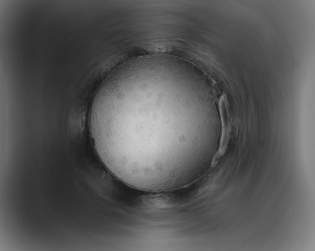 X0000089370652200706291248