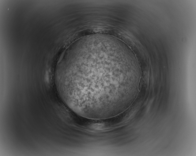 X0000089370653200706291248