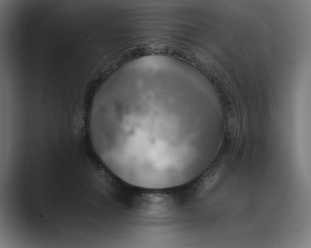 X0000089370654200706291248