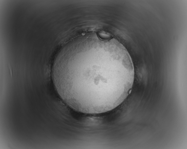 X0000089370657200706291248