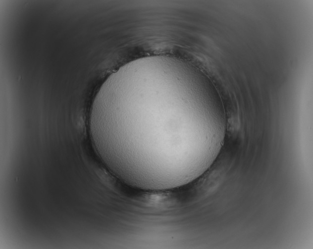X0000089370662200706291248