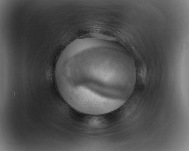 X0000089370663200706291248