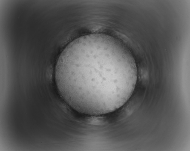 X0000089370664200706291248