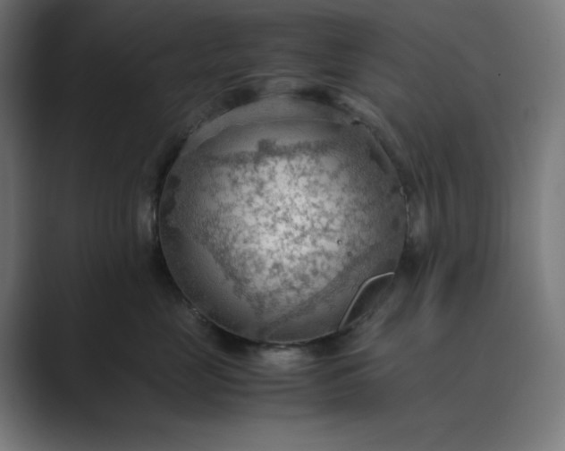 X0000089370669200706291248