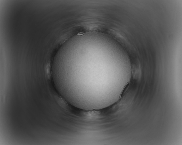 X0000089370670200706291248