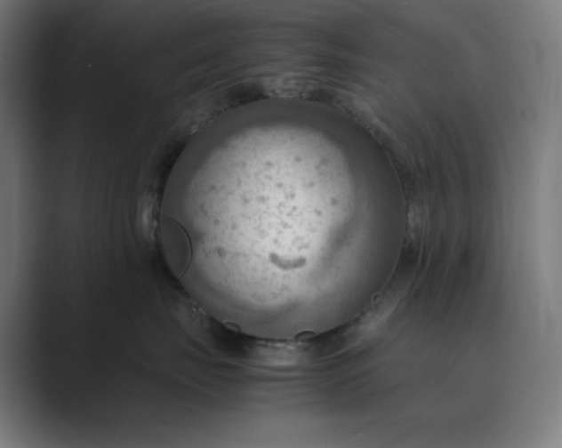 X0000089370671200706291248