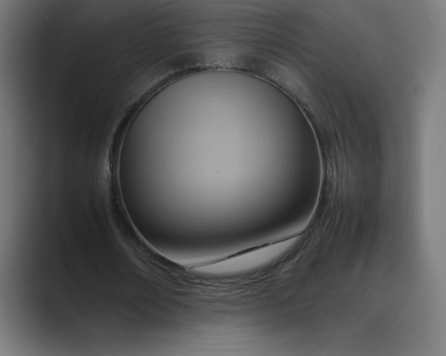 X0000089370674200706291248